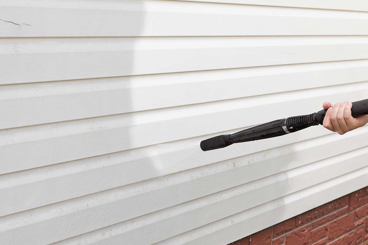 What Causes Mold on Vinyl Siding? Best Pick Reports